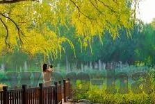 2022糖心vlog破解版ios-2022糖心vlog破解版的实际性及安全风险解析