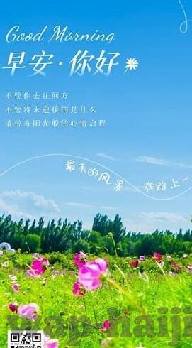 大象传媒无限看-探索大象传媒无限看的广阔视野