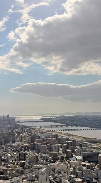果冻传媒精选麻豆 台湾-台湾麻豆，果冻传媒精选的魅力探索