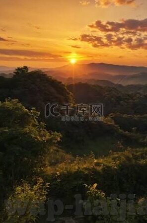 可以看大象传媒的软件-探索大象传媒的数字窗口，一款不可错过的观影软件