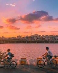 麻豆av午夜精品-麻豆AV午夜精品，探究网络内容消费的边缘地带