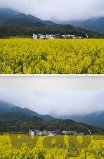 麻豆传媒app下载地址-麻豆传媒——令人瞩目的内容创作平台