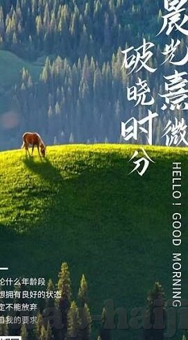 麻豆传媒影片下载-探索成人电影市场的全球化传播，麻豆传媒影片的魅力与挑战