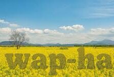 麻豆绿巨人app草莓香蕉-揭露，网络迷雾中的麻豆绿巨人与色情诱惑的真相
