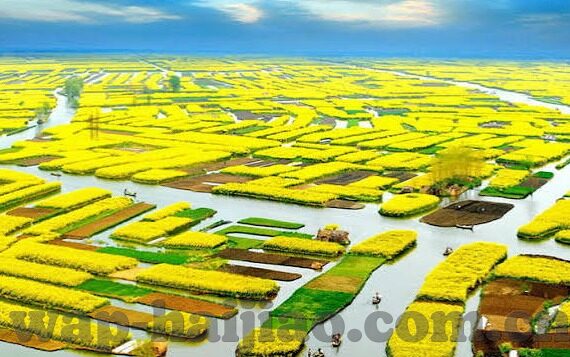 美味人妻在线播放-探索美味人妻的独特魅力，在线播放的温馨与诱惑